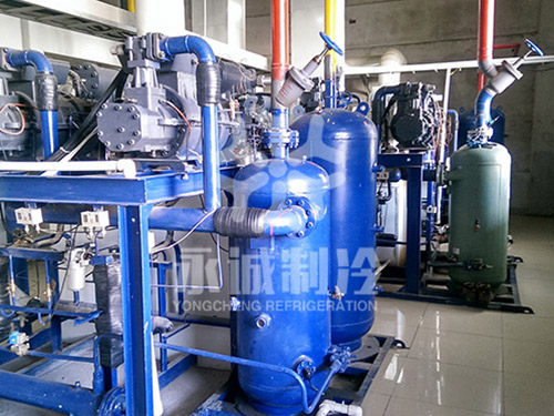 山東藍(lán)潤(rùn)水產(chǎn)有限公司金槍魚(yú)-55度超低溫庫(kù)